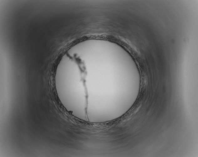 X0000114551350200910190943