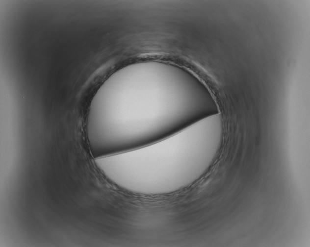 X0000114551351200910190943