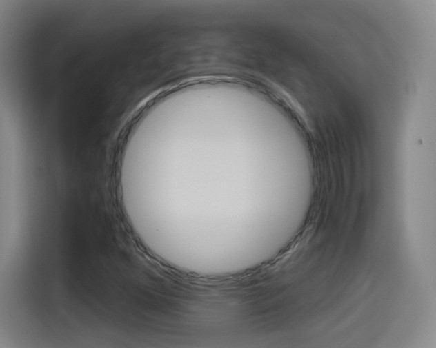 X0000114551352200910190943
