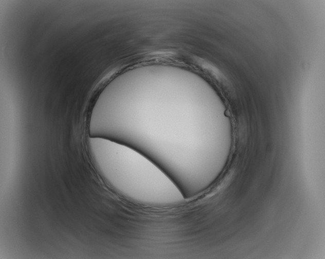 X0000114551354200910190943
