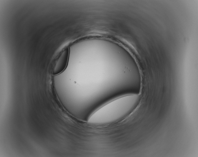 X0000114551355200910190943