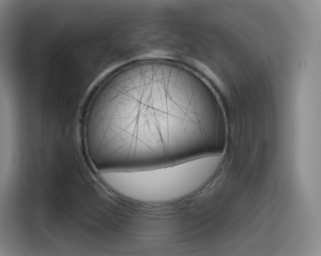 X0000114551356200910190943