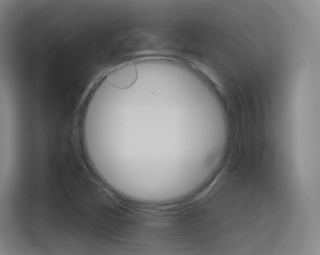 X0000114551357200910190943