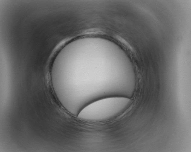 X0000114551358200910190943
