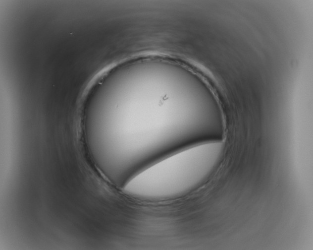 X0000114551359200910190943