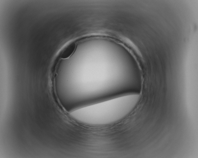 X0000114551360200910190943
