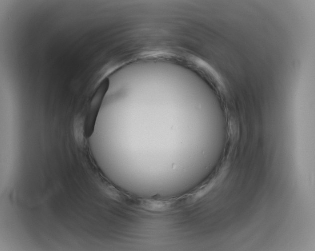 X0000114551361200910190943