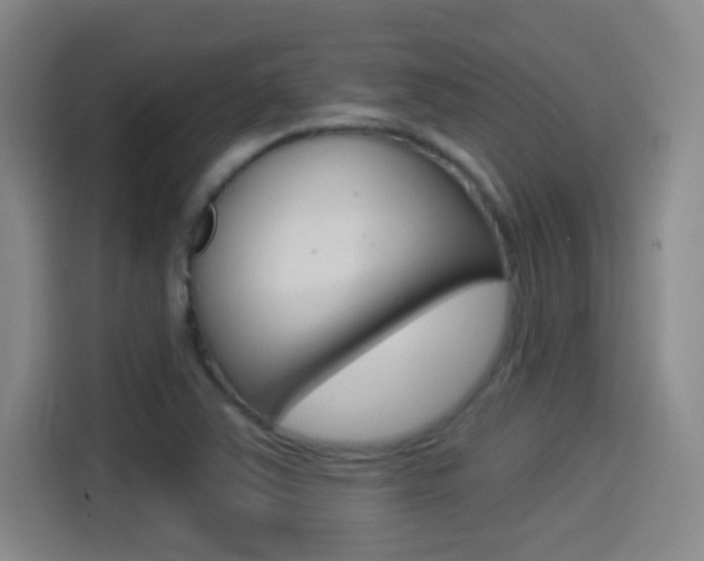 X0000114551363200910190943