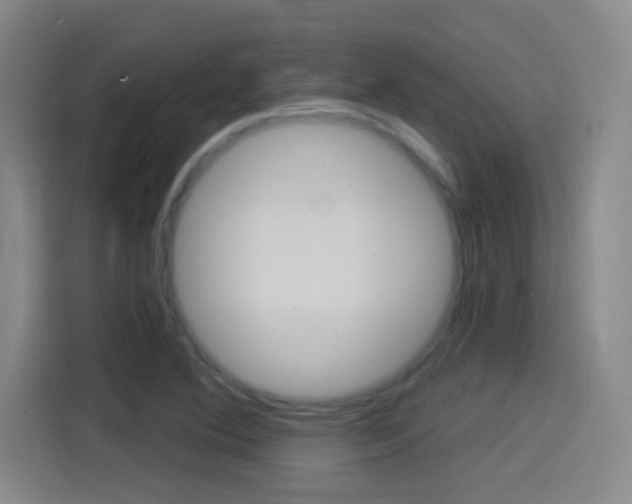 X0000114551364200910190943