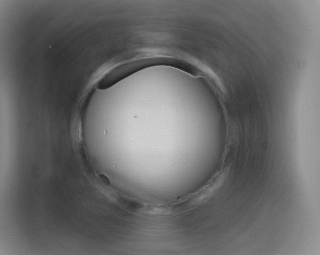 X0000114551365200910190943