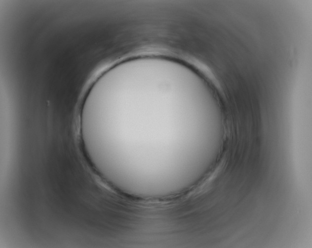 X0000114551366200910190943