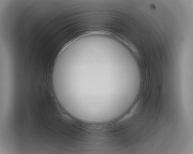 X0000114551369200910190943