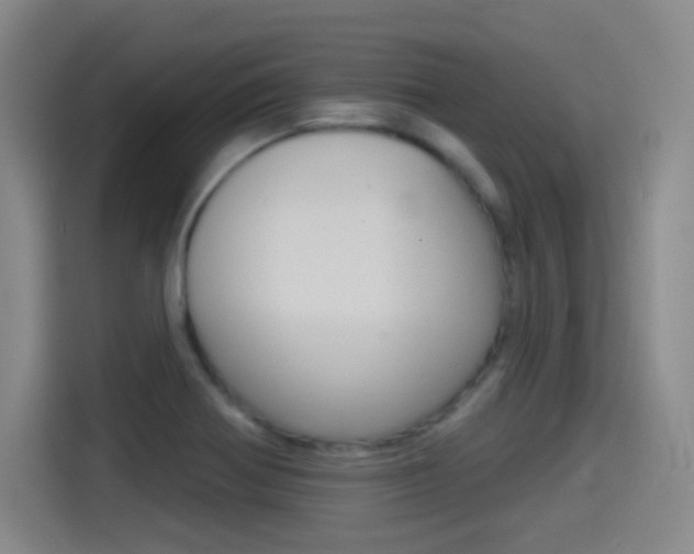 X0000114551370200910190943