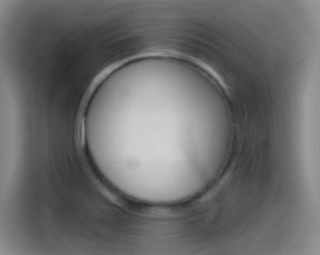 X0000114551371200910190943