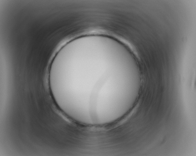 X0000114551374200910190943
