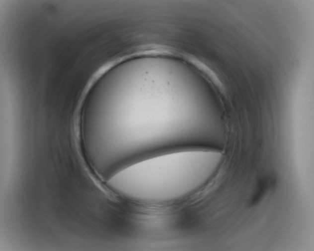 X0000114551375200910190943