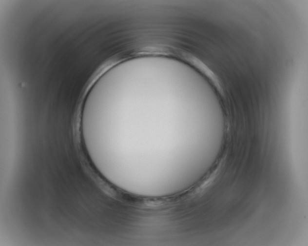X0000114551378200910190943