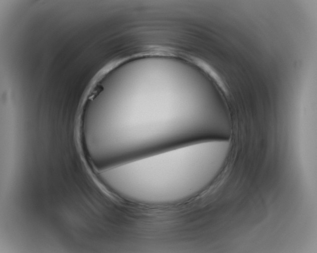 X0000114551379200910190943