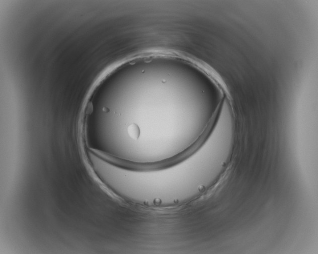 X0000114551381200910190943