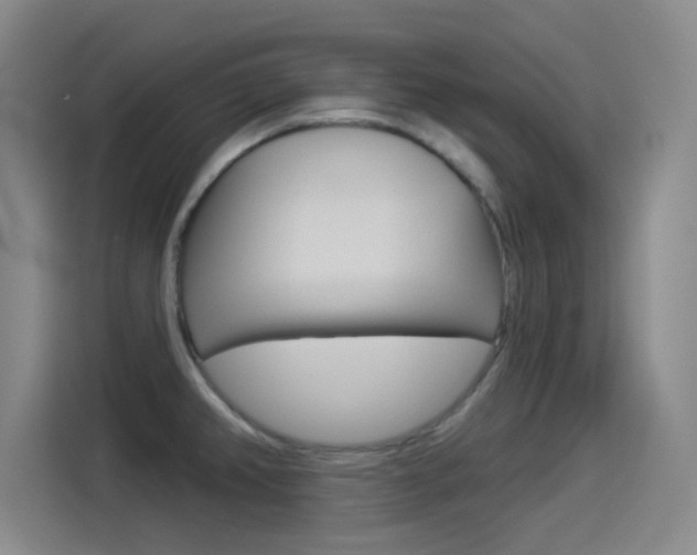X0000114551382200910190942