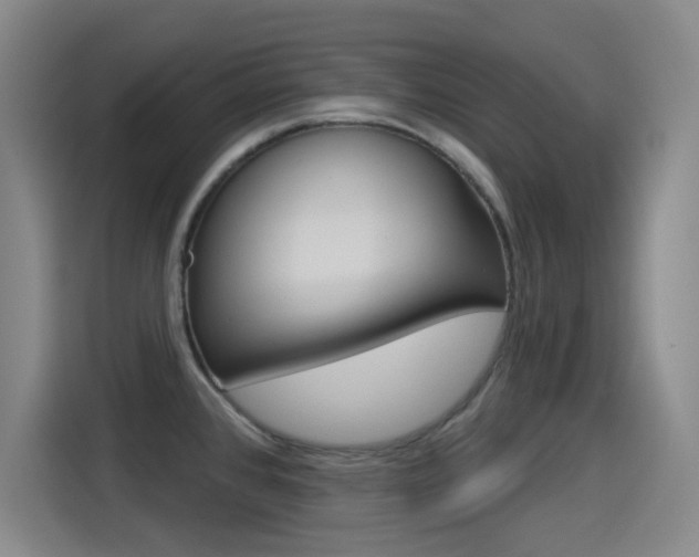 X0000114551384200910190942