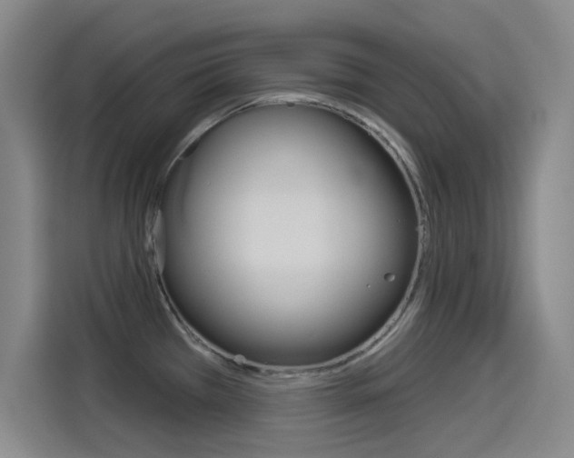 X0000114551385200910190942
