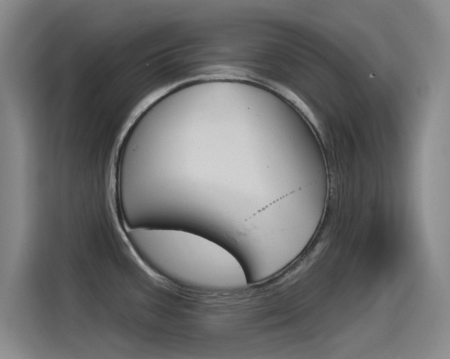 X0000114551387200910190942
