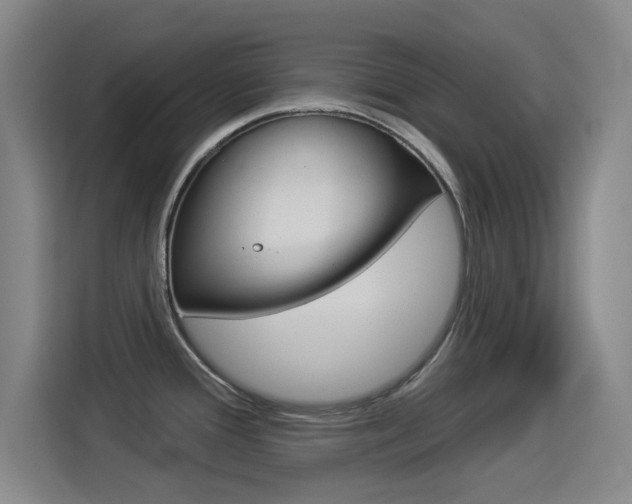 X0000114551388200910190942