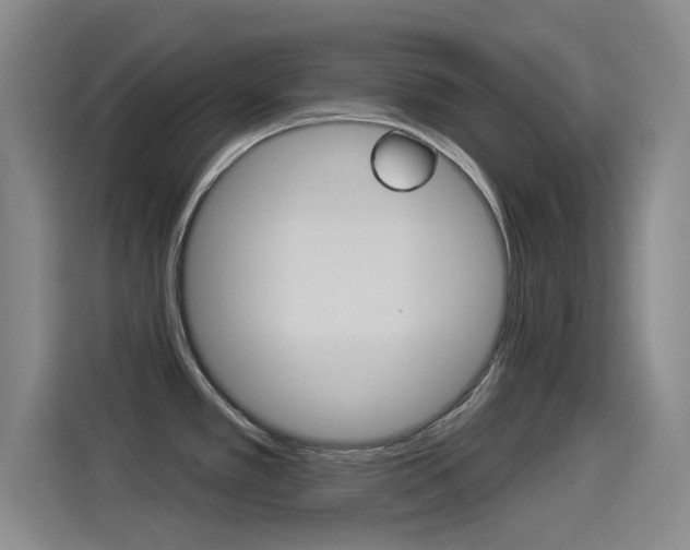 X0000114551389200910190942