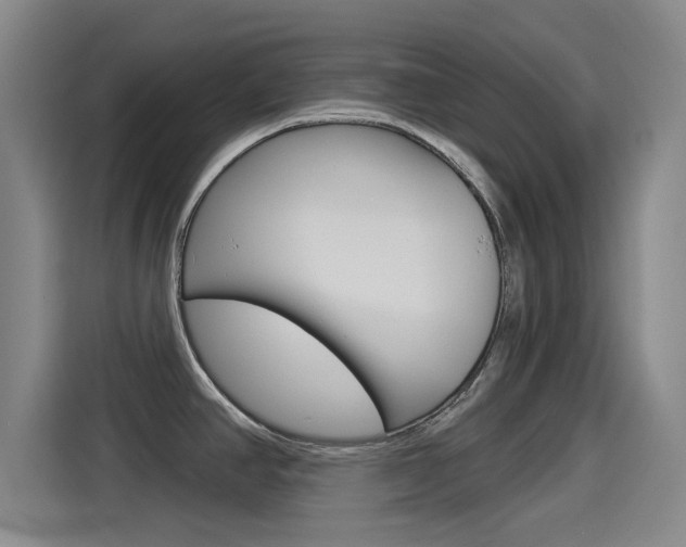 X0000114551390200910190942
