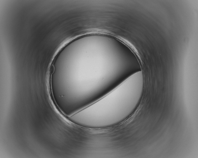 X0000114551391200910190942