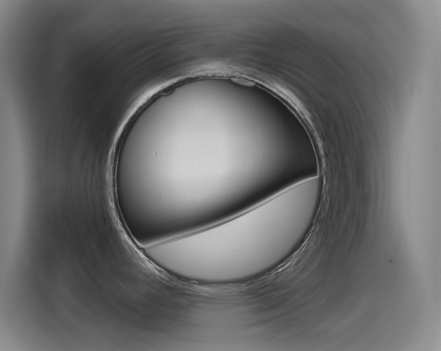 X0000114551392200910190942