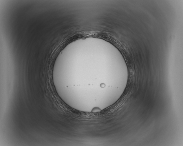 X0000114551393200910190942