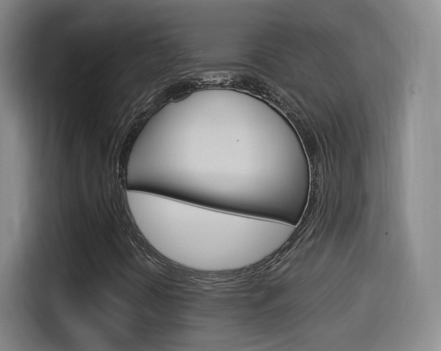 X0000114551394200910190942