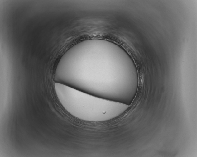 X0000114551396200910190942