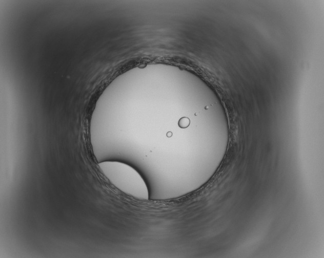 X0000114551397200910190942