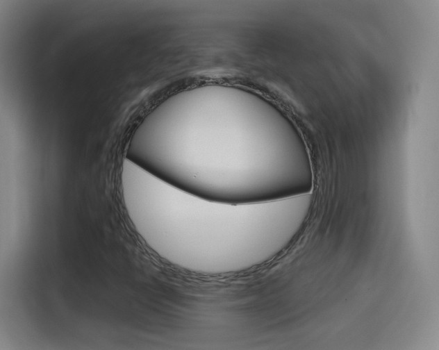 X0000114551398200910190942