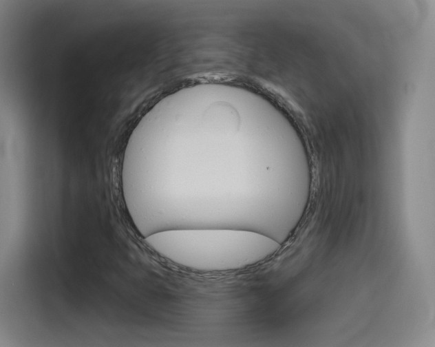 X0000114551399200910190942