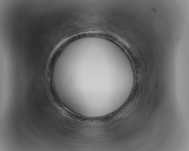 X0000114551400200910190942