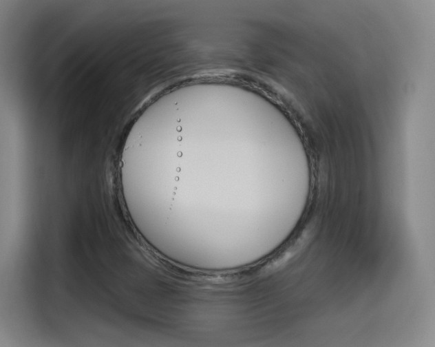 X0000114551401200910190942