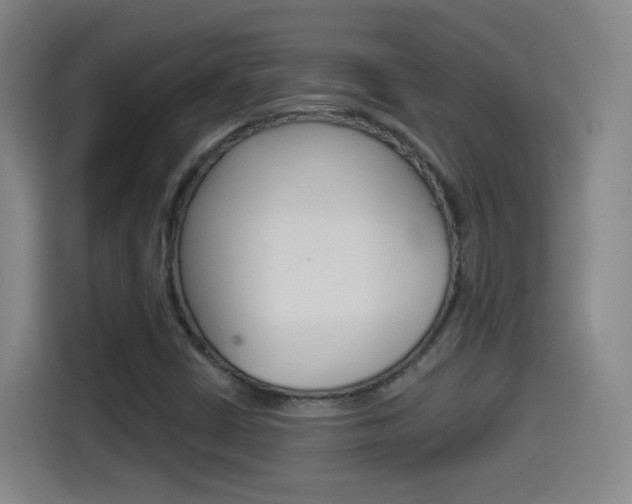 X0000114551402200910190942
