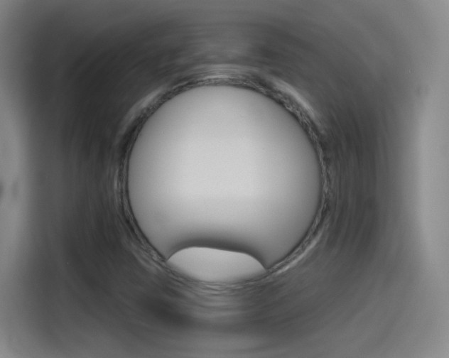 X0000114551403200910190942