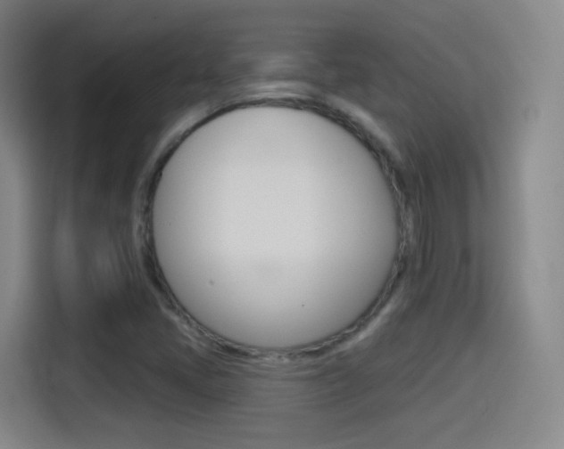 X0000114551405200910190942
