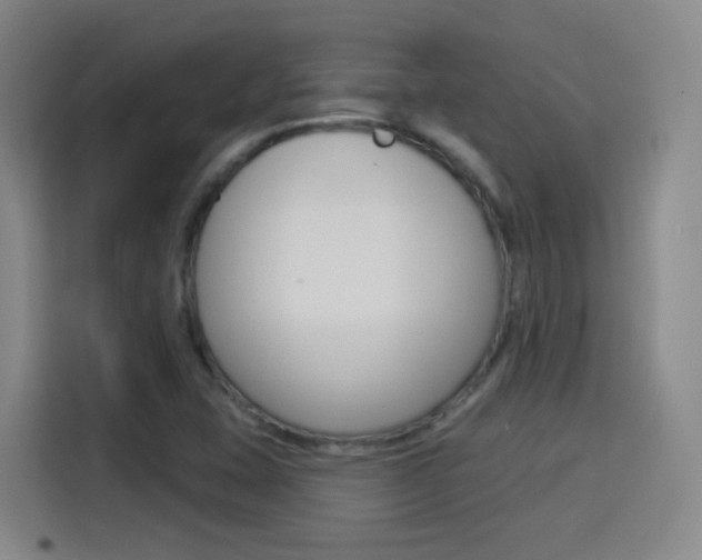 X0000114551407200910190942