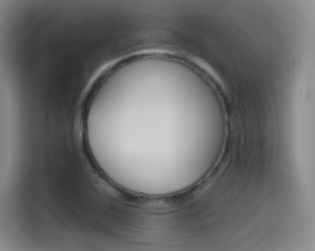X0000114551408200910190942