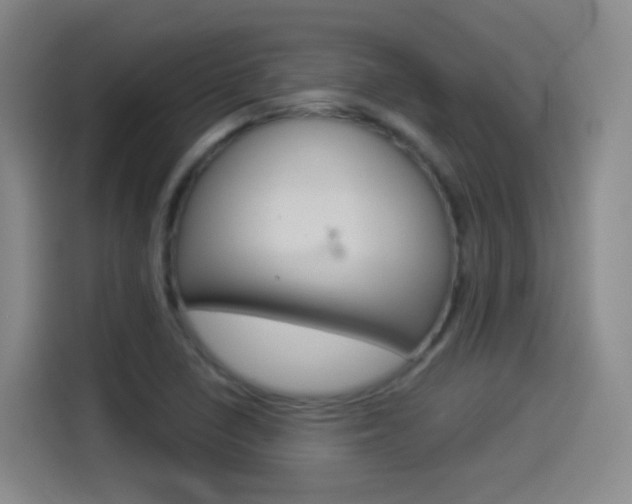 X0000114551410200910190942