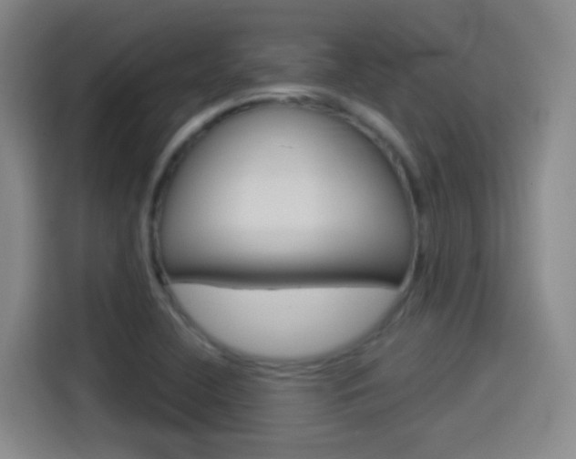X0000114551412200910190942