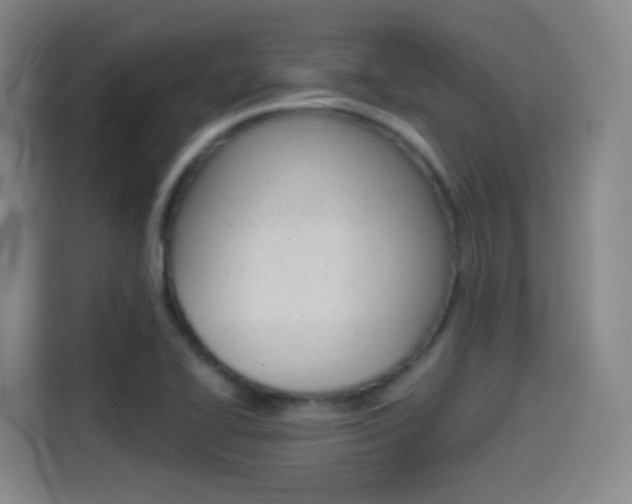 X0000114551414200910190942