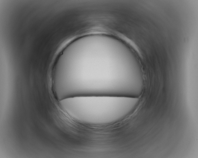 X0000114551415200910190942