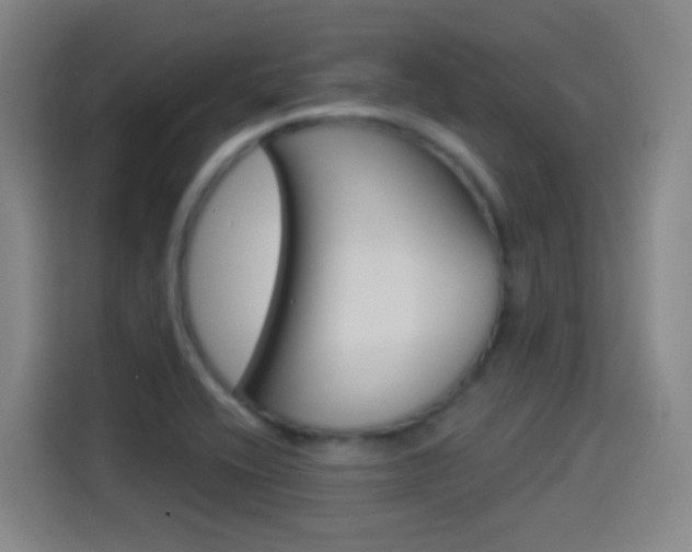 X0000114551416200910190942